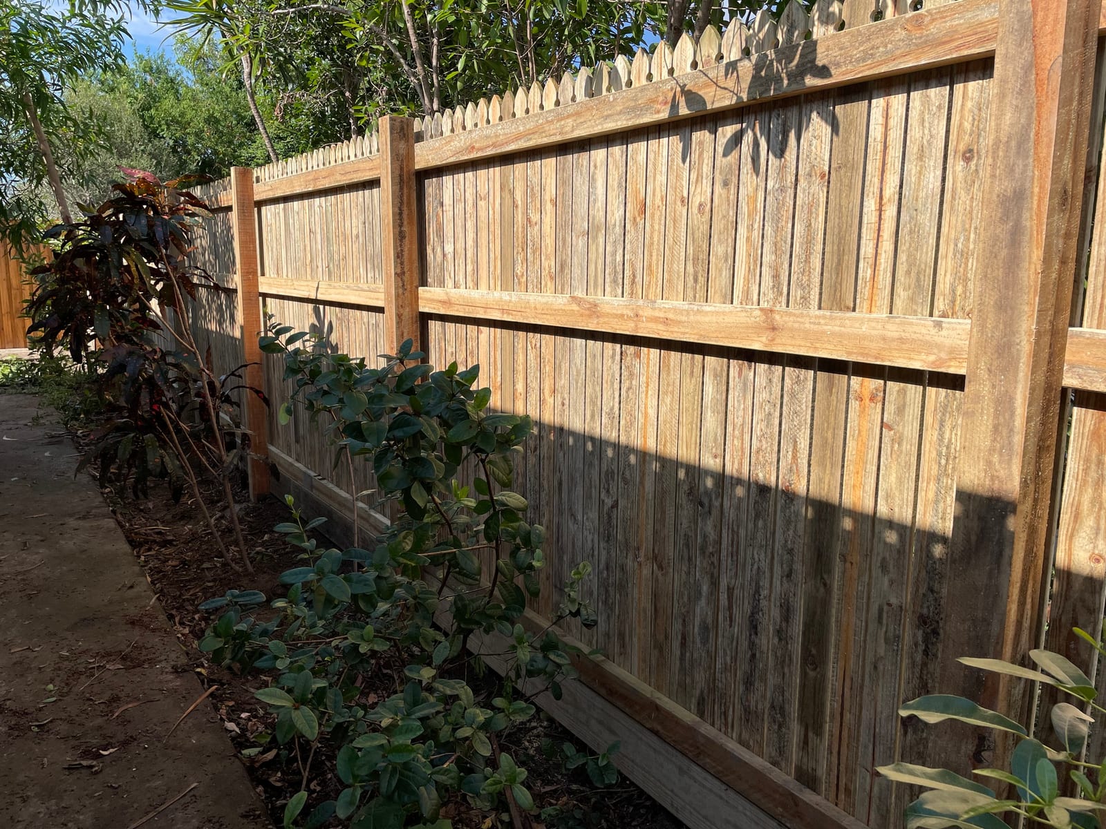 Timber fence with capping rails, Townsville